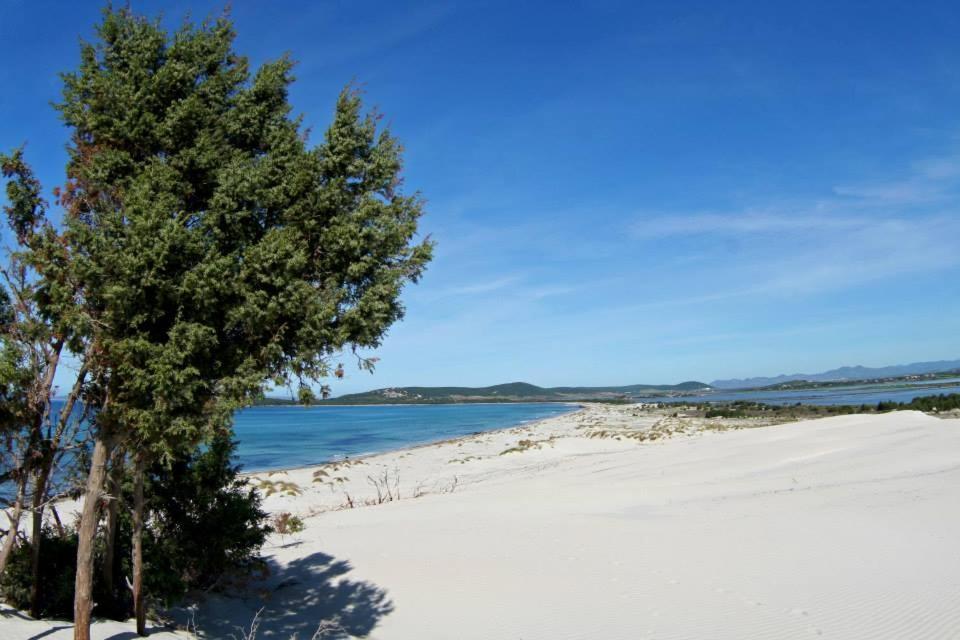 La Contea Bed & Breakfast SantʼAnna Arresi Eksteriør bilde