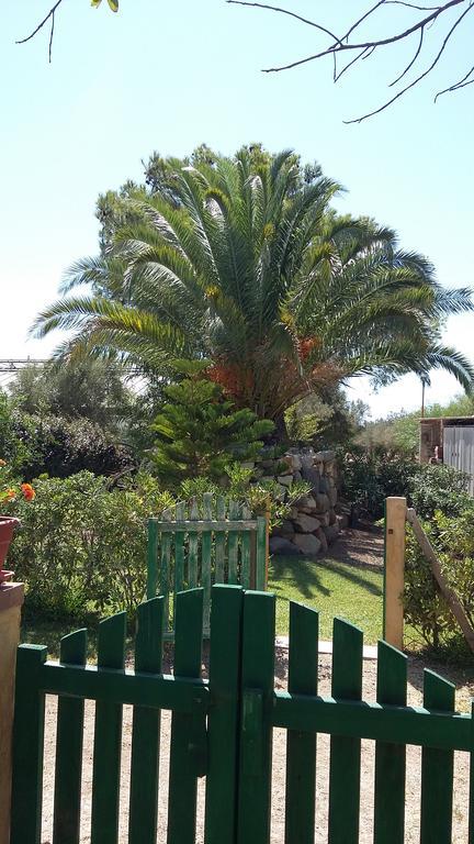 La Contea Bed & Breakfast SantʼAnna Arresi Eksteriør bilde